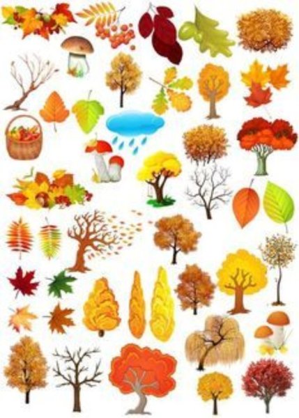 Предметы осени для детей