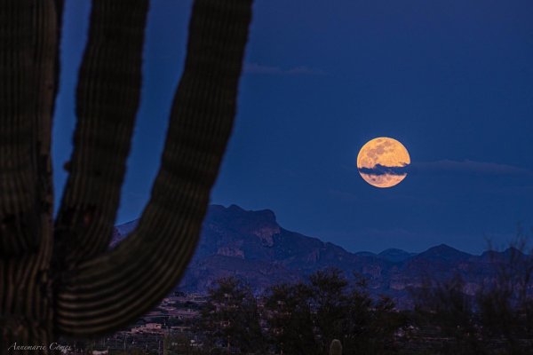 Огромная Луна