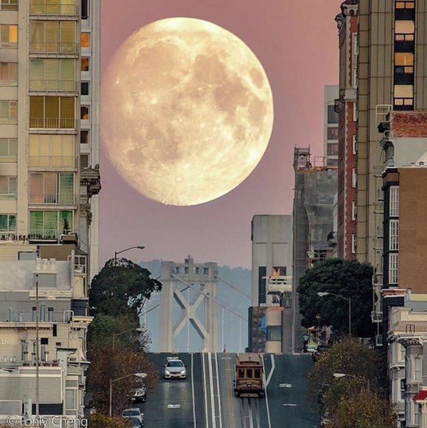 Мегалуние 2022