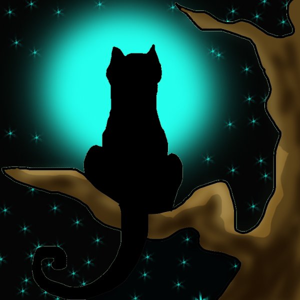 Кошка ночью