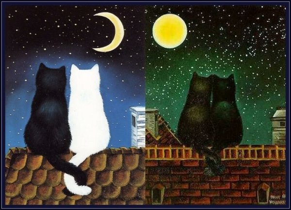 Коты на крыше