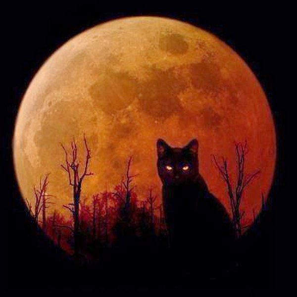Коты Воители Кровавая Луна