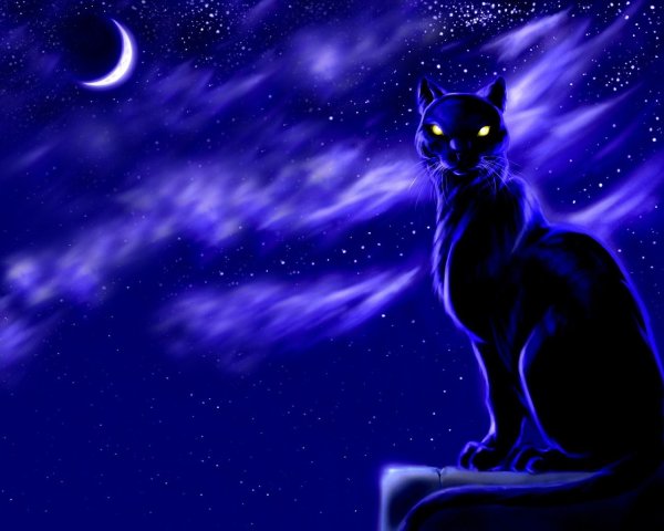 Коты Воители фиолетовая звезда