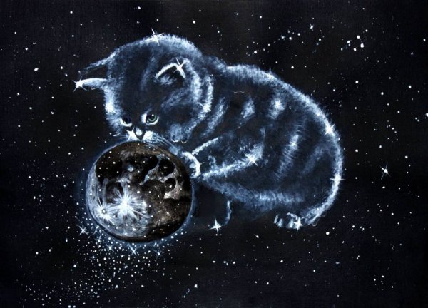 Лунные коты