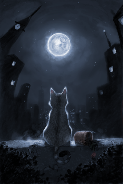 Кошка ночью