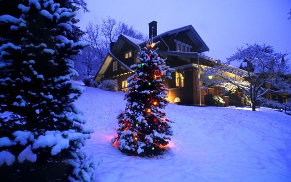 Новогодняя природа на рабочий стол