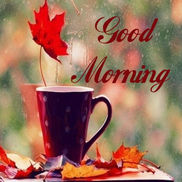 Счастливого осеннего утра