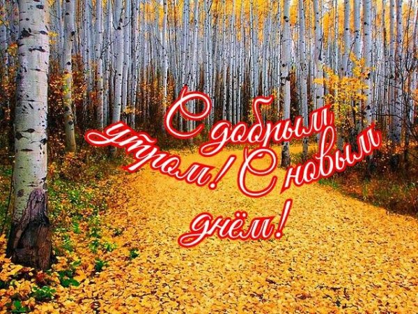 Доброе утро осенний пейзаж с надписями