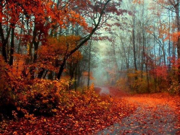 Красивая осень