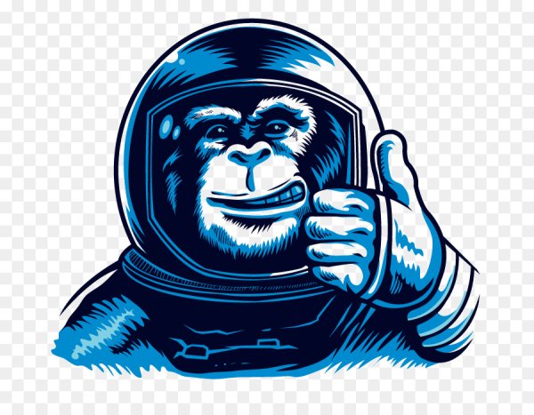 Шимпанзе космонавт