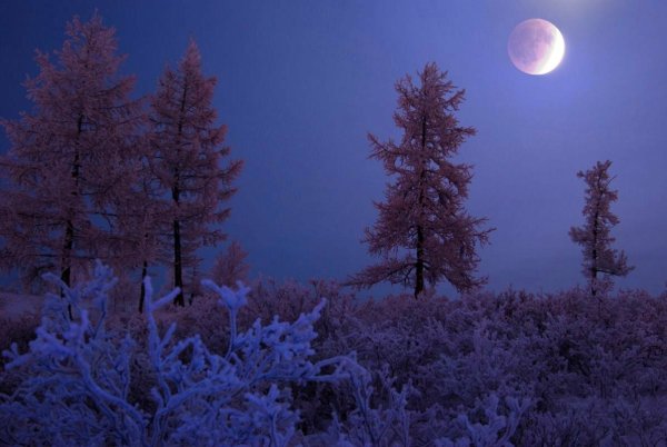 Зима Луна