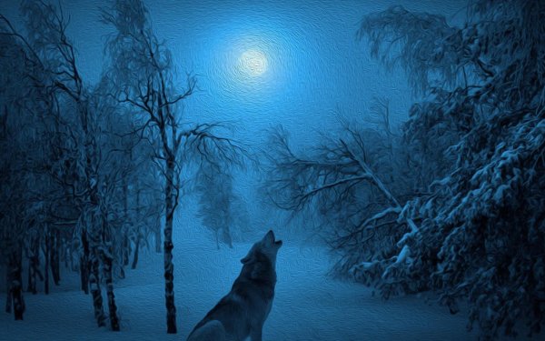 Тихая Звездная ночь Фет