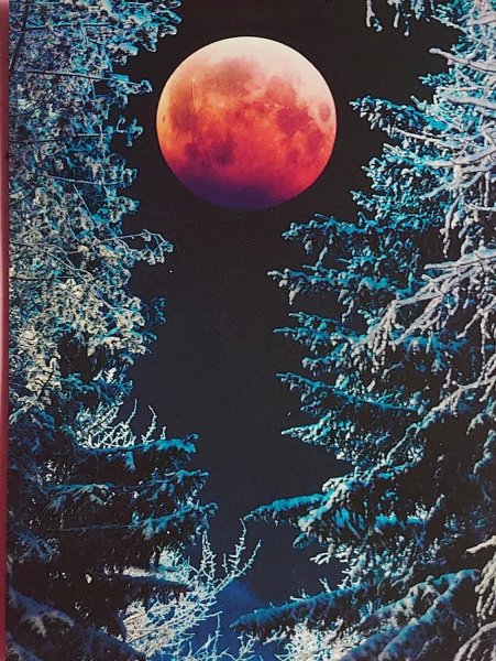 Зимняя Луна