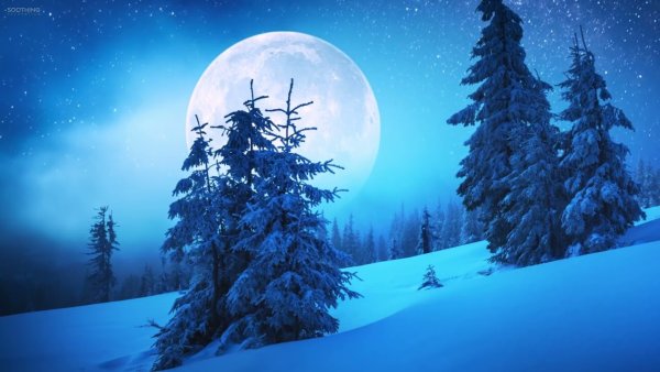 Лес снежный с луной