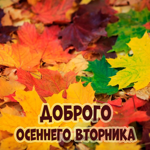 Доброго вторника осень