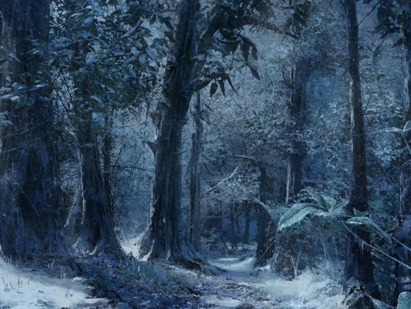 Дремучий заснеженный лес