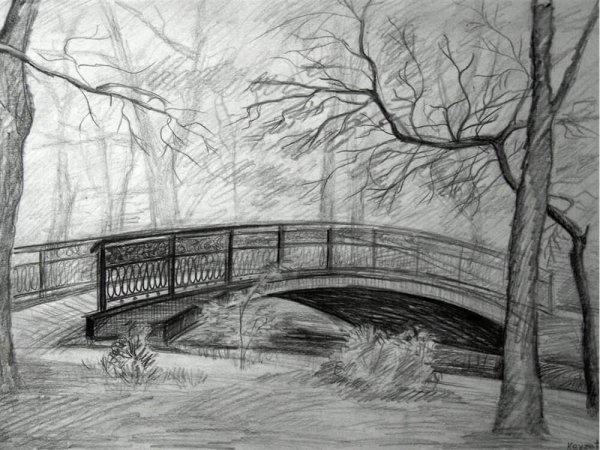 Рисунки карандашом природа