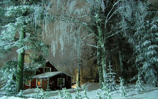 Сказочный дом в зимнем лесу