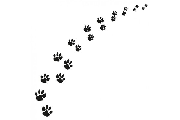 Отпечаток лапки Ёжика