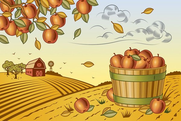 Рисунок на тему сбор урожая