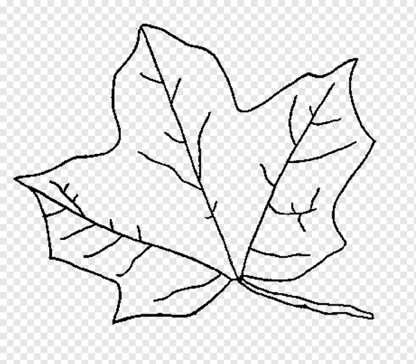 Листочки раскраска