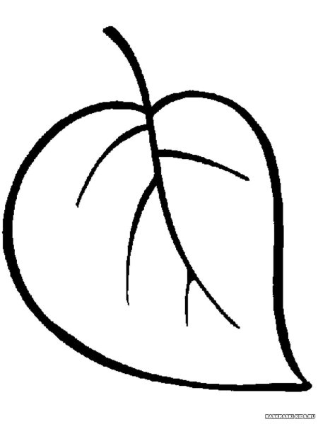 Листья раскраска