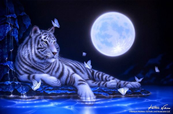 Японский художник Kentaro Nishino