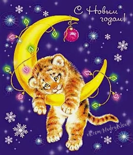 Тигренок на месяце