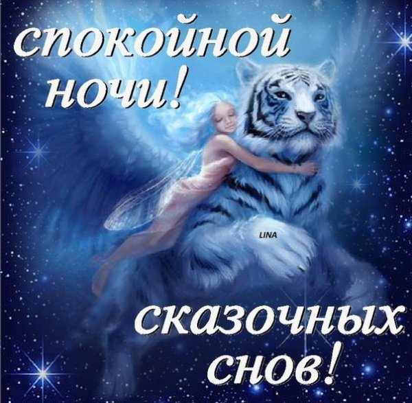 Спокойной ночи Тигренок