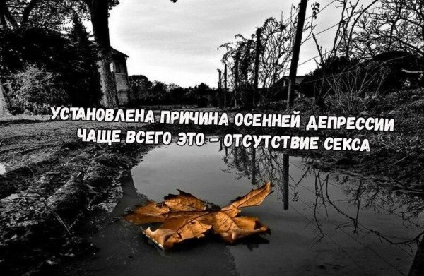 Осенняя депрессия приколы