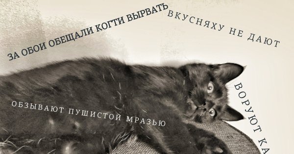 Зимняя депрессия веселая картинка с надписью