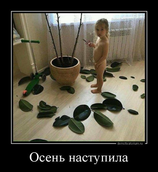 Осень пришла прикол