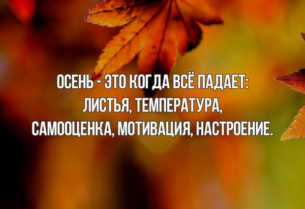 Цитаты про осень