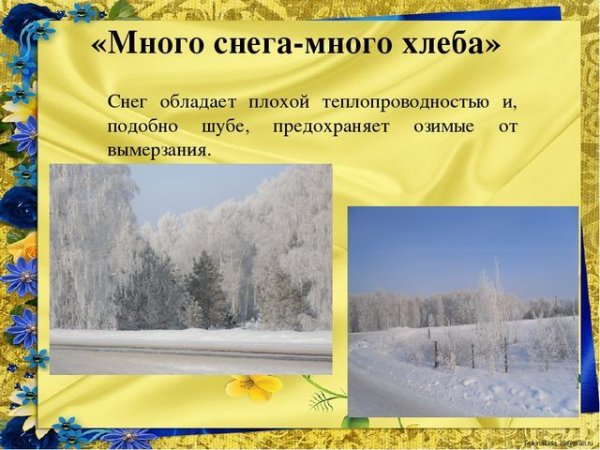 Много снега много хлеба