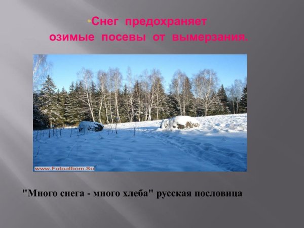 Много снега много хлеба
