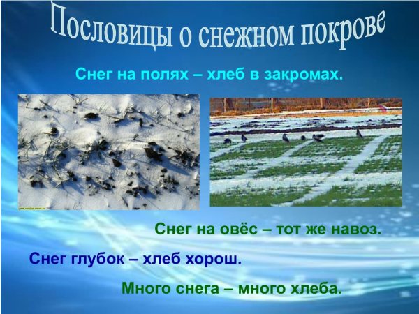 Объяснение пословицы снега много хлеба много