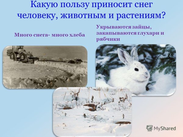 Какую пользу приносит снег людям