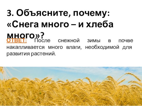 Снега много хлеба много объяснить пословицу
