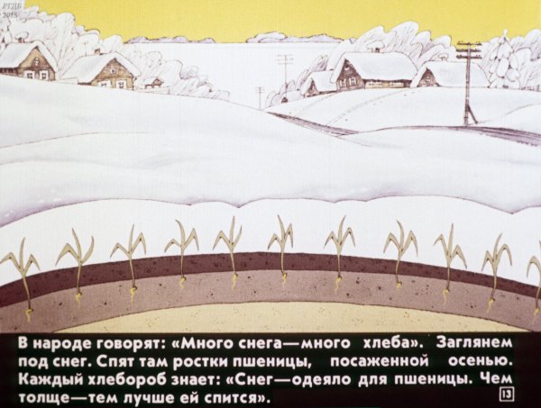 Много снега много хлеба рисунок