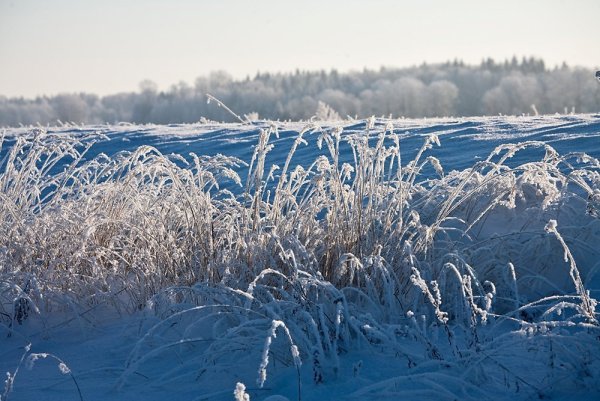 Снежное поле