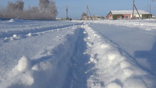 Кулунда зимой