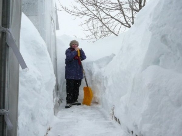 Завалило снегом