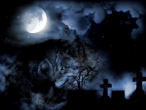 Кладбище ночью