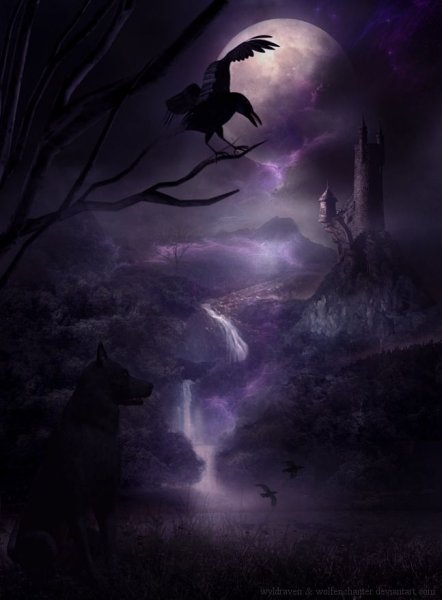 Ворон во тьме