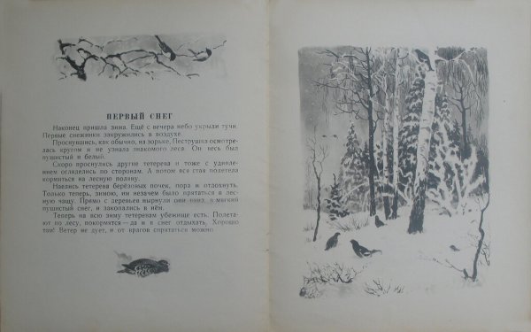 Г Скребицкий на Лесной полянке