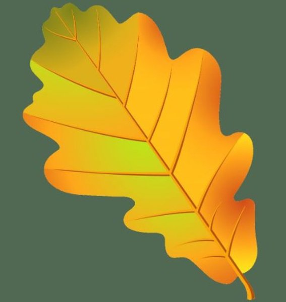 Дубовый лист желтый