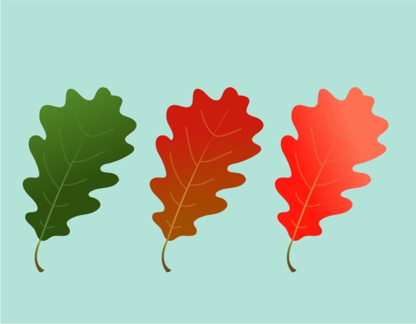 Дубовый лист для вырезания