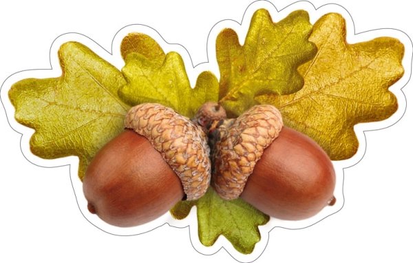 Дубовый лист для садика