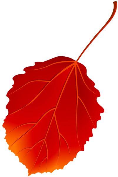 Красный лист осины