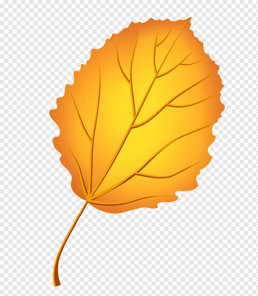 Осенний листок